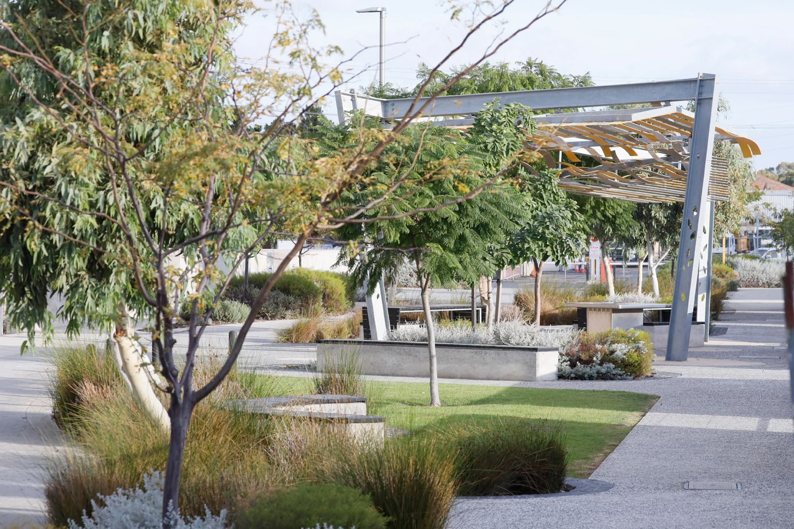 East Village at Knutsford: a climate-positive development tour SOLD OUT